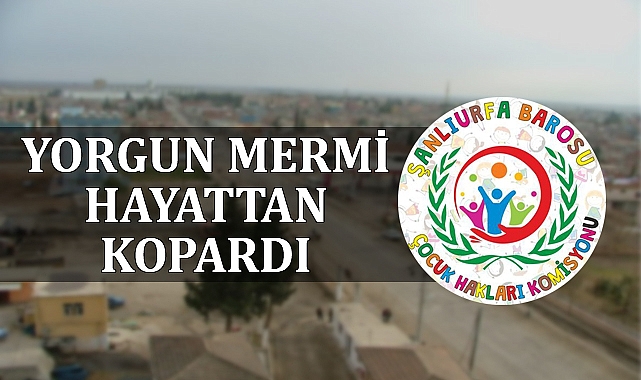 Yusuf Yücel'in ölümüyle ilgili flaş çağrı