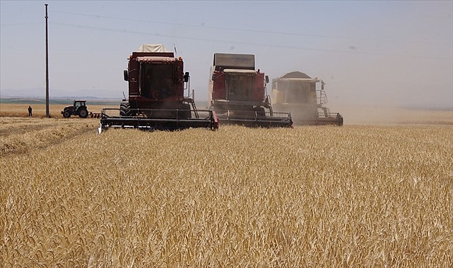 Şanlıurfa’da buğday fiyatları belli oldu