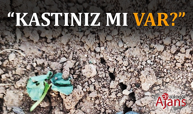 Şanlıurfa’da çiftçilerin elektriği kesildi