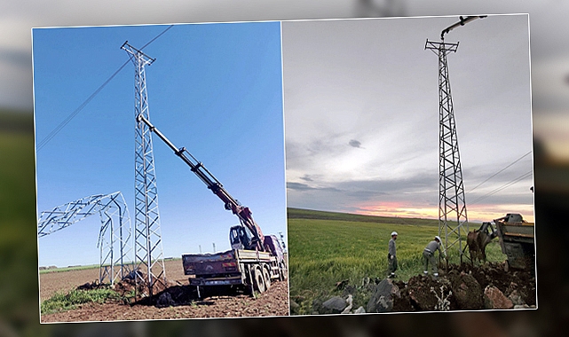 Şanlıurfa'da fırtına sonrası kaç abone elektriksiz kaldı?