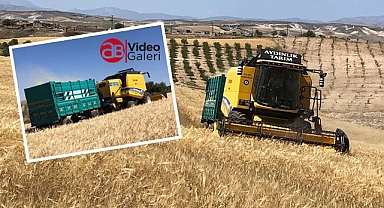 Şanlıurfa'da hasat sezonu devam ediyor