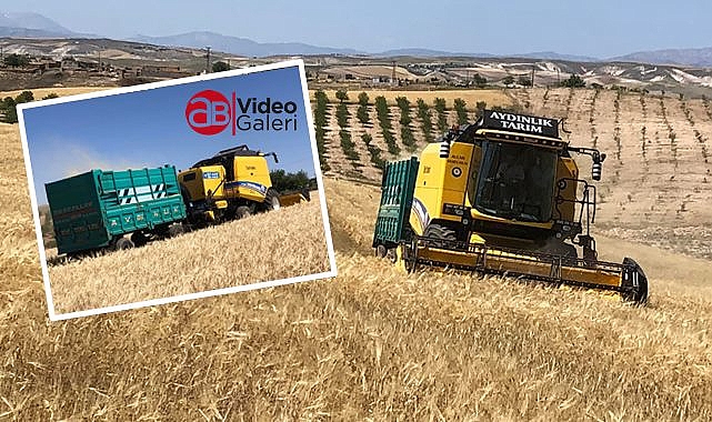 Şanlıurfa'da hasat sezonu devam ediyor