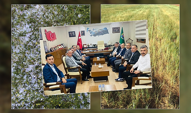 Şanlıurfa için 7 maddelik hasar tespit raporu hazırlandı