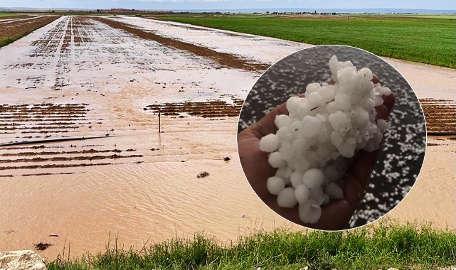 Şanlıurfa’nın doğal afet bölgesi ilan edilmesi için çağrı