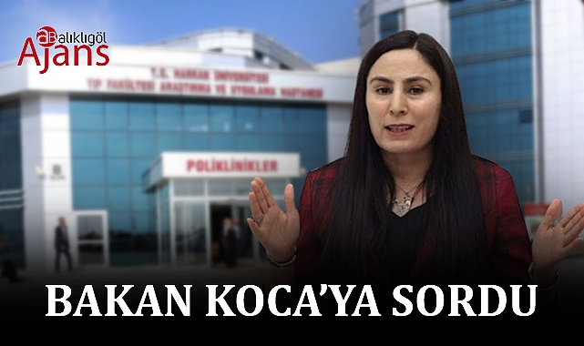 Şanlıurfa'nın sağlık sorunları bitmiyor