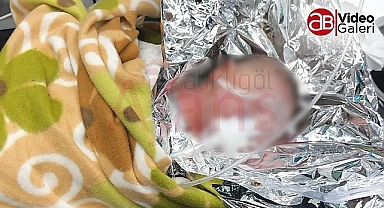 Siverek'te sokağa atılan bebeğin annesi bulundu