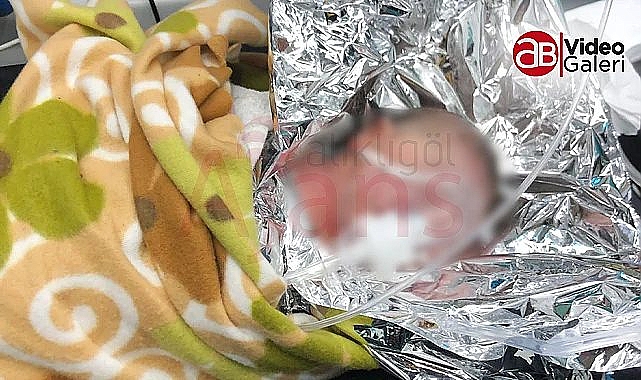 Siverek'te sokağa atılan bebeğin annesi bulundu