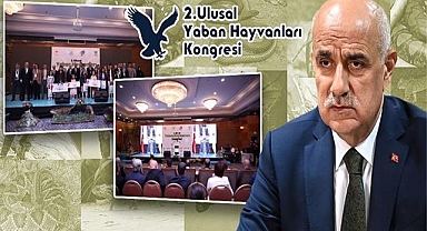 Türkiye'de kaç hayvan türü bulunuyor