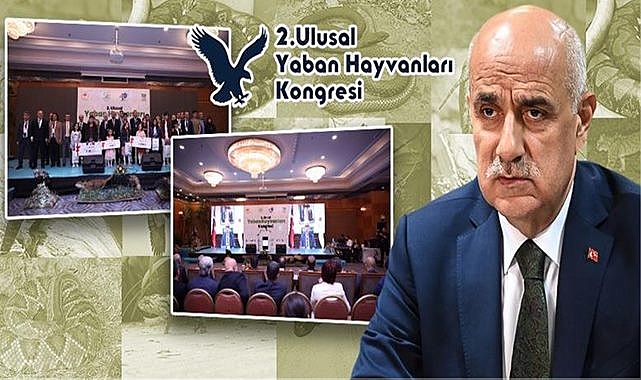 Türkiye'de kaç hayvan türü bulunuyor