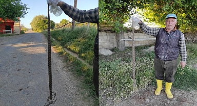 Urfa'nın ilçesinde tarlasını sulayan çiftçiye yılan şoku