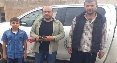 Vatandaşlar tarafından bulunan yaban hayvanları kurtarıldı