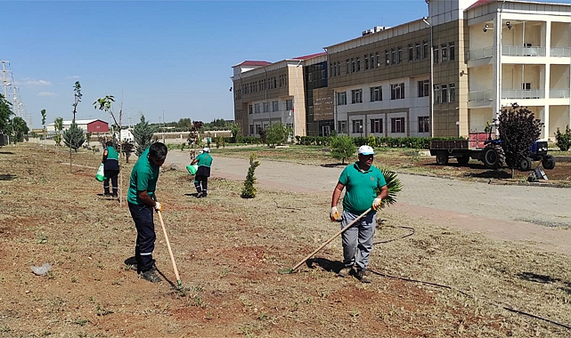 Viranşehir Belediyesinden MYO'da peyzaj çalışması