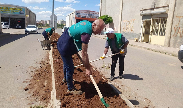Viranşehir yeni sanayi sitesinde peyzaj düzenlemesi