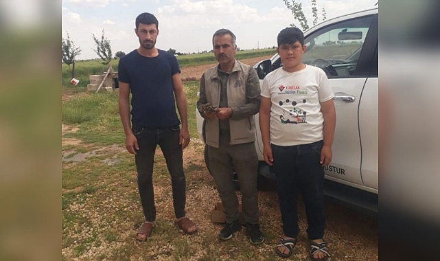 Yaralı halde bulundu! Tedaviye alındı