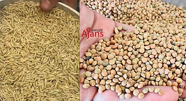 Yeni ürün mercimek ve arpa fiyatları