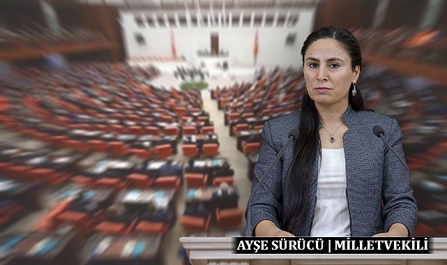 Engellilerin istihdam sorunu meclise taşındı