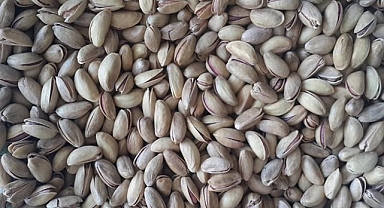 Antep fıstığında piyasa durgun! İşte yeni fiyatlar