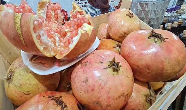 Avrupa Birliği de Suruç narını tescilleyecek!