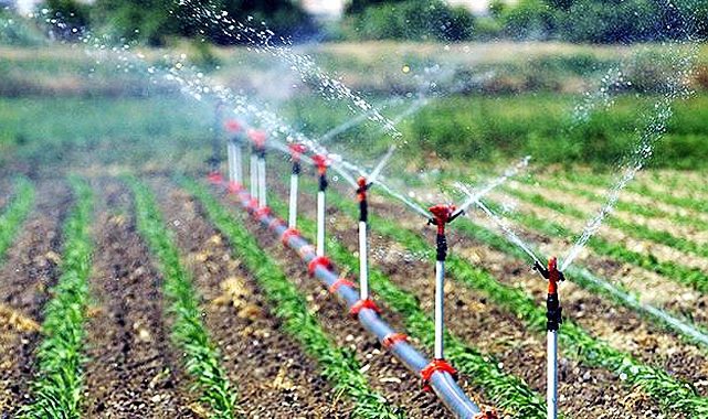 Aydınlık, bakana hibeleri sordu: Neden beklenenden düşük