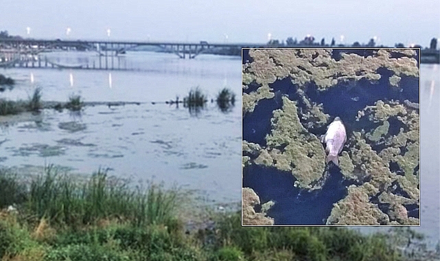 Bakanlıktan Fırat'a siyanür karıştı iddialarına ilişkin açıklama