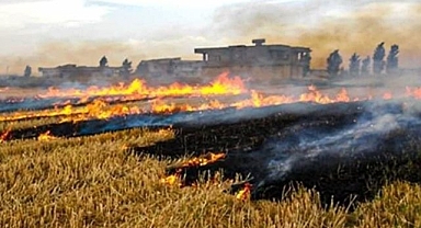 Başkan Ahmet Eyyüpoğlu: Anız yakmayın!