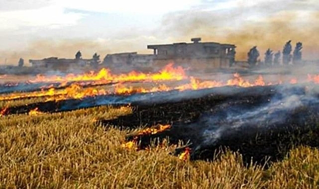 Başkan Ahmet Eyyüpoğlu: Anız yakmayın!