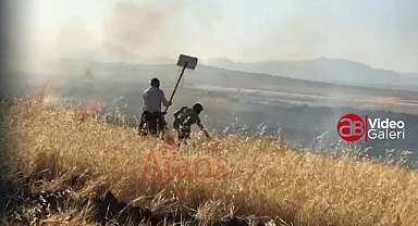 Bir tarla yangını daha! 40 dönüm küle döndü