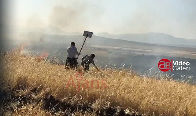 Bir tarla yangını daha! 40 dönüm küle döndü