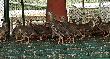 Bu istasyonda bakın ne üretiliyor?