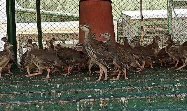 Bu istasyonda bakın ne üretiliyor?