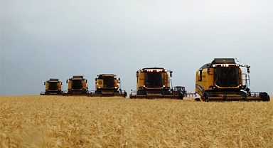 Buğday fiyatları rekor tazeleyecek mi? İşte yeni fiyatlar