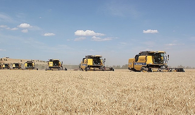 Buğday fiyatları tekrar yükselişe geçti! İşte yeni fiyatlar