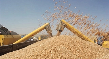 Buğday fiyatları zirveye gidiyor! İşte yeni fiyatlar 