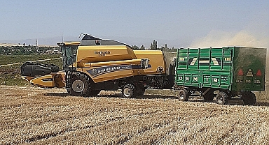 Buğday ve arpa yükselişe geçti! İşte yeni fiyatlar