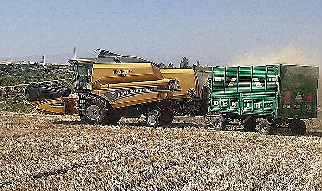 Buğday ve arpa yükselişe geçti! İşte yeni fiyatlar