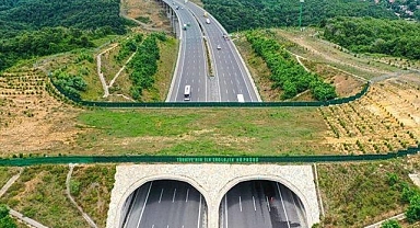 Çevreci yatırımlarla ekonomiye yıllık 28,2 milyar dolar katkı sağlanıyor