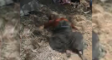 Ceylanpınar'da feci kaza! Olay yerinde can pazarı yaşandı