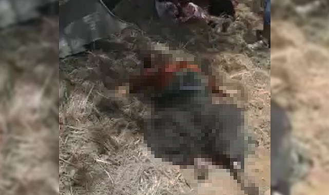 Ceylanpınar'da feci kaza! Olay yerinde can pazarı yaşandı