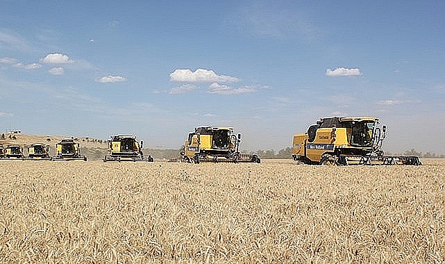 Hububat fiyatları güne yükselişle başladı