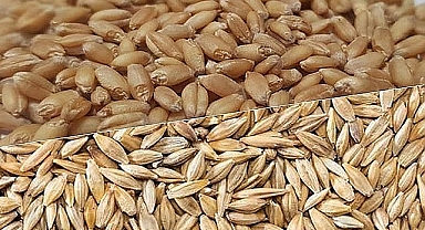 Hububat ve bakliyatta son durum! İşte yeni fiyatlar