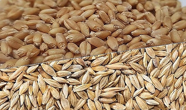 Hububat ve bakliyatta son durum! İşte yeni fiyatlar