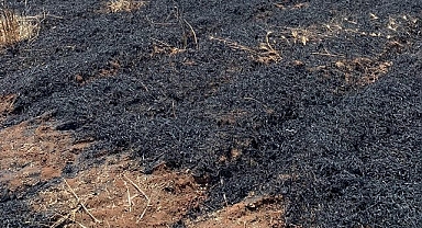 İkinci ürün hazırlığı yapan çiftçiye anız uyarısı