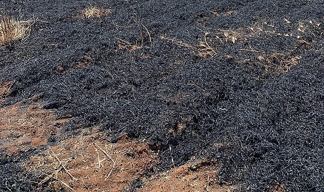 İkinci ürün hazırlığı yapan çiftçiye anız uyarısı