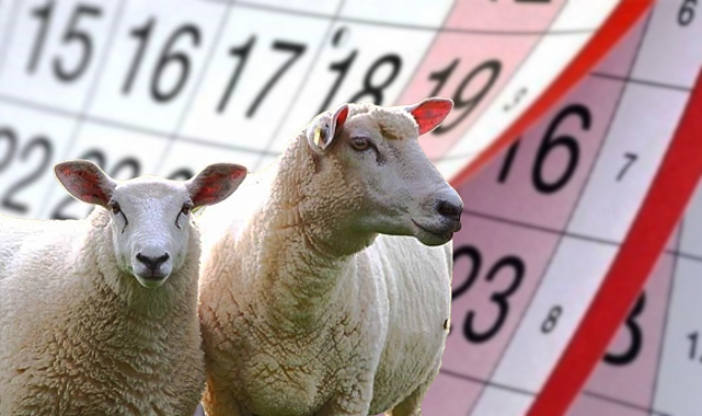 Kurban Bayramı tatili kaç gün sürecek?