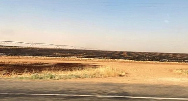 Mahmut Tanal: TİGEM arazilerinde anız yakıldı