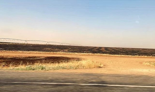 Mahmut Tanal: TİGEM arazilerinde anız yakıldı