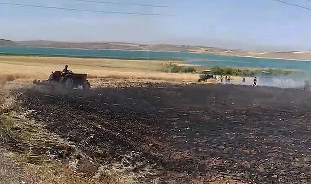 Şanlıurfa’da buğday tarlasında yangın