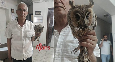 Şanlıurfa'da ilk defa görüldü! Vatandaşlar sahip çıktı