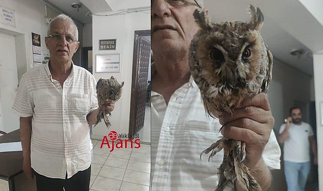 Şanlıurfa'da ilk defa görüldü! Vatandaşlar sahip çıktı