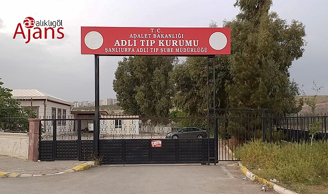 Şanlıurfa'da otomobilin çarptığı yaşlı adam hayatını kaybetti